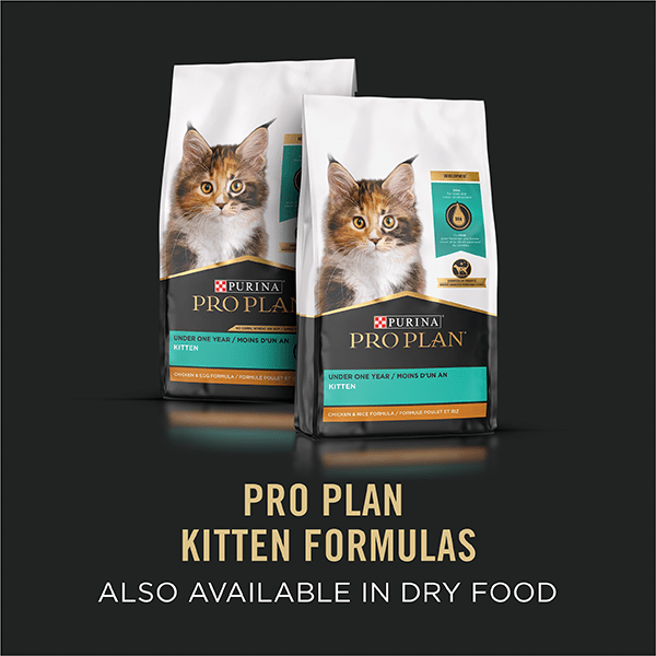 Purina Pro Plan Focus Kitten Canned Food - A Delightful Variety Pack for Young Kittens