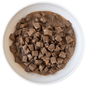 KOHA Lone Star Premium Canned Dog Food - Brisket Flavor for Dogs