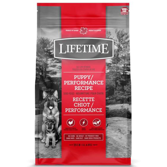 Lifetime High - Quality Dry Dog Food with Puppy/Performance Recipe for All Life Stages
