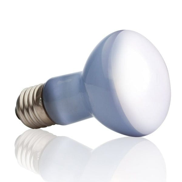 Exo Terra Neodymium Broad - spectrum Daylight Basking Spot Lamp for Terrariums