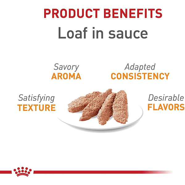 Royal Canin Canned Cat Food with Sauce for Hair & Skin Care