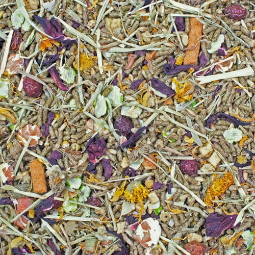 High - Quality Sunburst Gourmet Chinchilla Food Blend for Optimal Nutrition