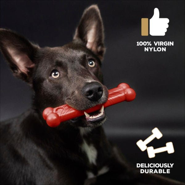 Delicious TastyBone Nylon Chew Bone with Beef Flavour for Dogs of All Sizes