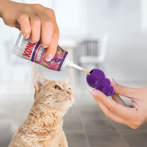 KONG Delicious Mousse Salmon Treat for Feline Companions