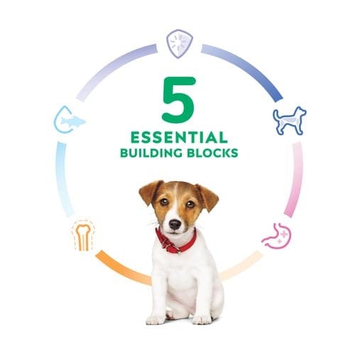 Hill's Science Diet Puppy Dry Dog Food: Chicken & Brown Rice Small Bites Recipe