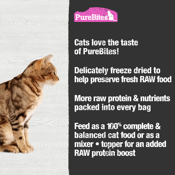 PureBites Freeze - Dried Salmon Recipe Cat Food Topper: A High - Quality Single Protein Option for Felines