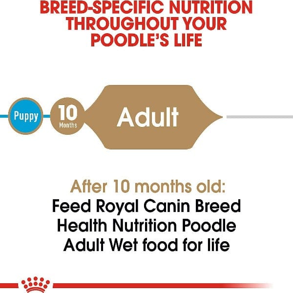 Royal Canin 85g Canned Sauce Loaf Dog Food for Purebred Poodles