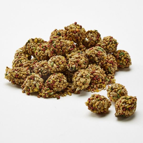 Kaytee Premium Healthy Bits Parrot Treats - A Crunchy and Nutritious Delight