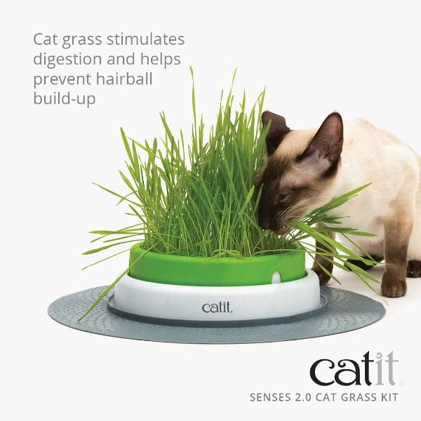 Catit Senses 2.0 Premium Cat Grass Growing Kit - Ideal for Feline Owners