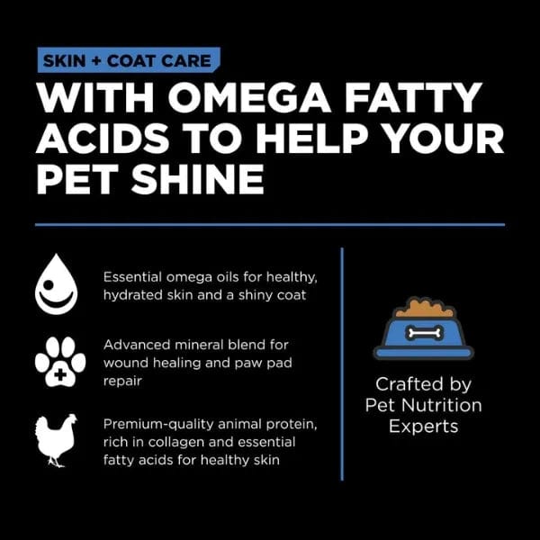 Go! Solutions Grain-Included Dry Dog Food with Chicken Recipe for Skin and Coat Care