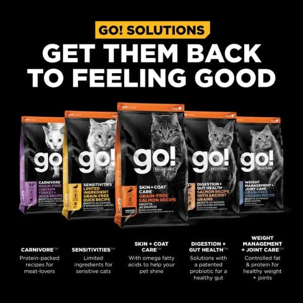 Go! Solutions Grain-Free Salmon Dry Cat Food for Skin & Coat Care