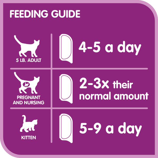 Whiskas Single - Serve Chicken & Liver Pâté Wet Cat Food for Fresh Meals