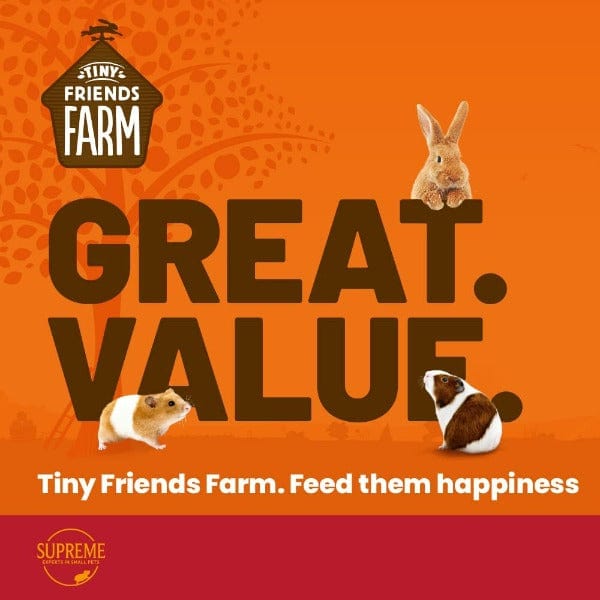 Tiny Friends Farm: Delicious Russel Rabbit Crunchy Carrot Treats