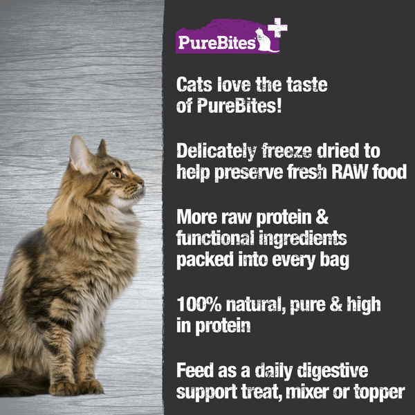 PureBites Premium Freeze - Dried Functional Cat Treats for Optimal Digestion, 31g (1.09 oz)