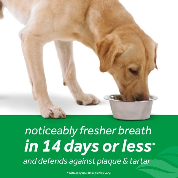 Tropiclean Dental Health Water Additive Solution for Dogs to Maintain Fresh Breath