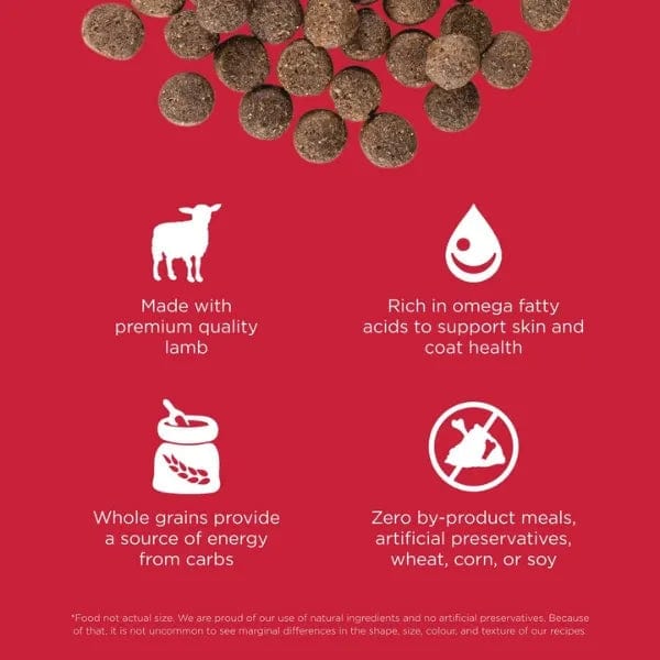Go! Solutions Grain-Included Dry Dog Food Lamb Recipe for Skin and Coat Care