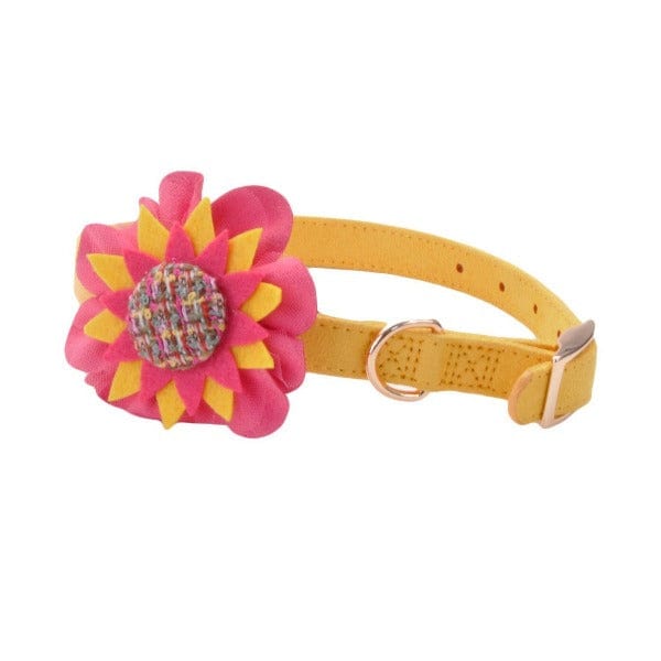 Coastal Fashionable Microfiber Dog Collar with Stylish Embellishments