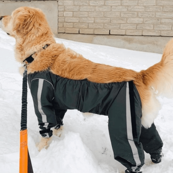 FouFouDog Waterproof Adjustable Bodyguard Pants for Dogs