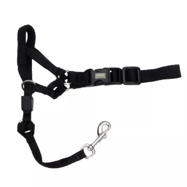 Walk 'n Train Dog Head Halter - A Fun and Effective No - Pull Solution for Dogs