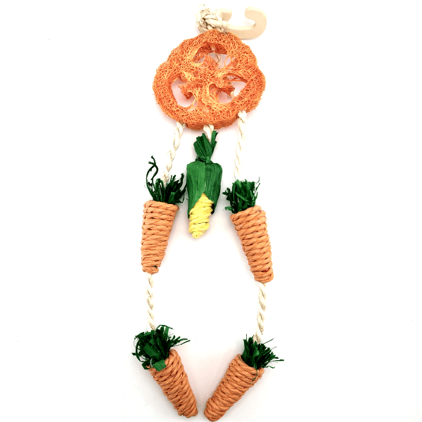 Moss Hollow Pet Hanging Treat Wheel for Dental Health