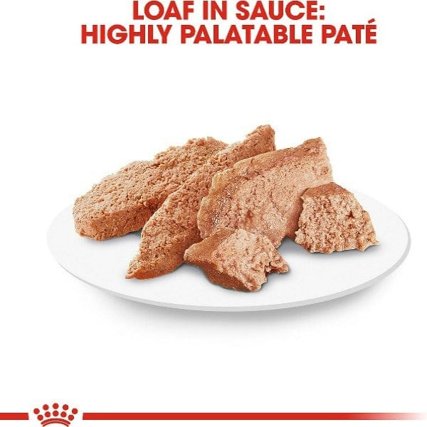 Royal Canin 85g Canned Sauce Loaf Dog Food for Purebred Poodles