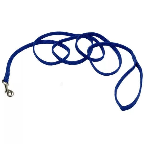 Colorful Coastal Dog Leash for Growing Puppies and Small Dogs