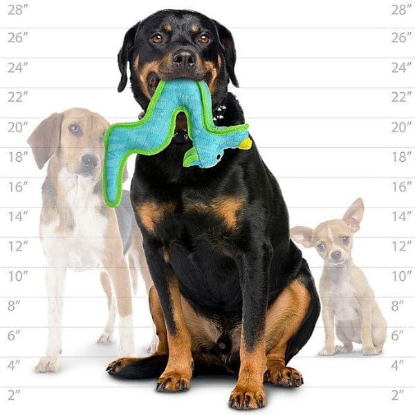 Tuffy DuraForce Blue Dragon Durable and Interactive Plush Dog Toy for Medium to Large Dogs