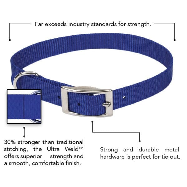 Coastal Single - Ply Durable Nylon Dog Collar for All Breeds