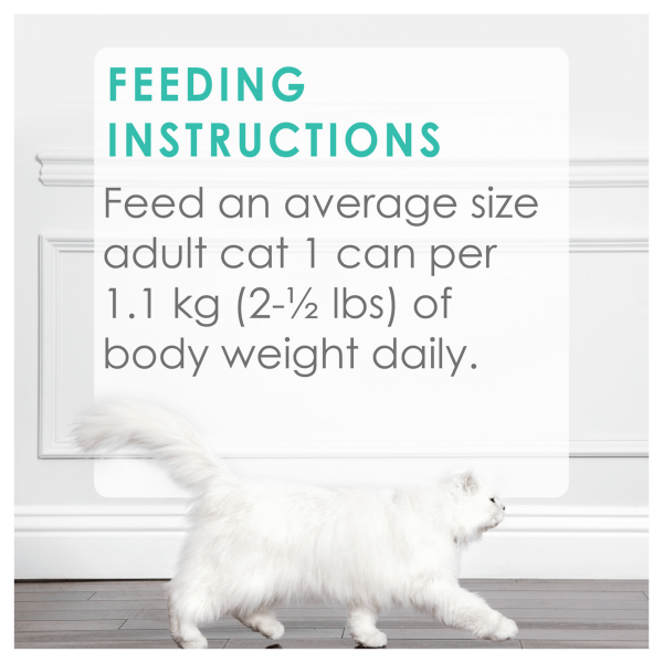 Fancy Feast Gravy Lovers Canned Cat Food - Variety Pack of Small Bites