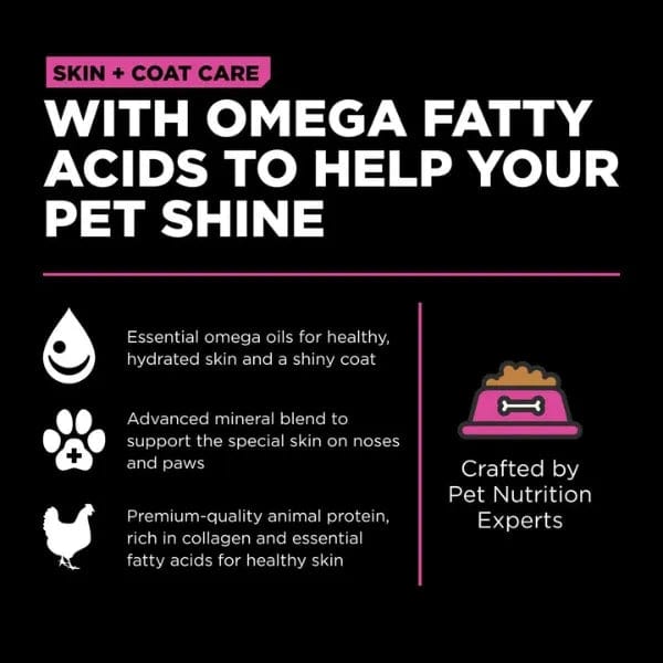 GO! Solutions Grain-Included Chicken Recipe Dry Cat Food for Skin & Coat Care