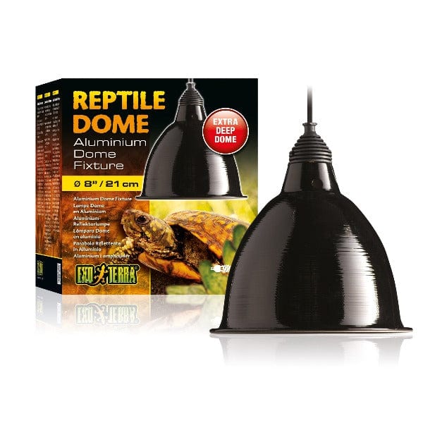 Exo Terra Premium Bearded Dragon Starter Kit with Ideal Housing Features