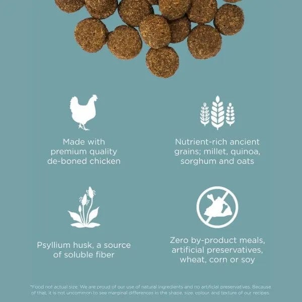 Go! Solutions Ancient Grains Chicken Dry Dog Food for Digestion & Gut Health