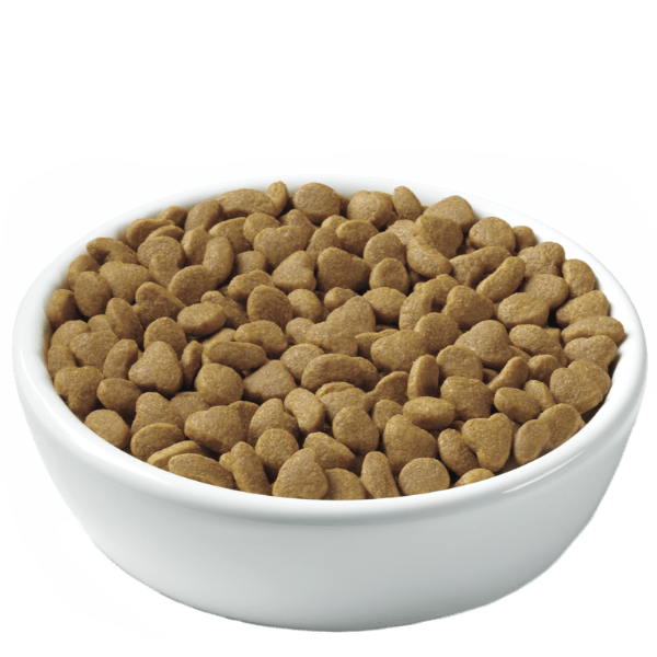 Purina Pro Plan High - Quality Dry Kitten Food with Chicken & Rice Formula, 7 - Pound Bag for Kitten's Optimal Growth