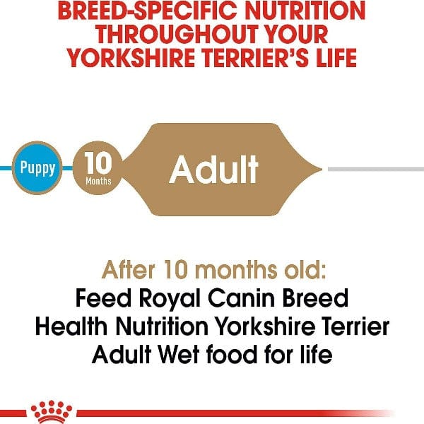 Royal Canin Premium Canned Dog Food - Yorkshire Terrier Loaf In Sauce, 85g (3 oz)