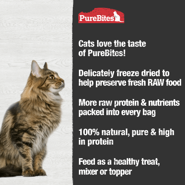 PureBites 66g Freeze - Dried High - Quality Chicken Breast Cat Treats