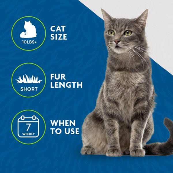 FURminator Cat DeShedding Tool - Ideal for Medium and Large Short - Haired Cats