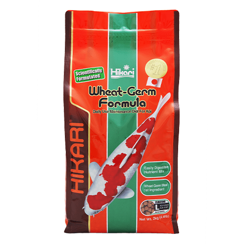 Hikari Floating Koi Wheat Germ Pellet - Ideal Daily Diet for Koi