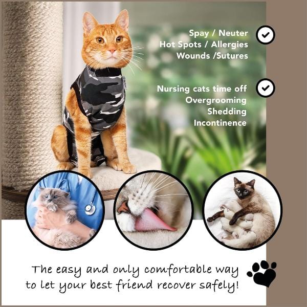 Soft and Comfortable Suitical Recovery Suit for Feline Friends