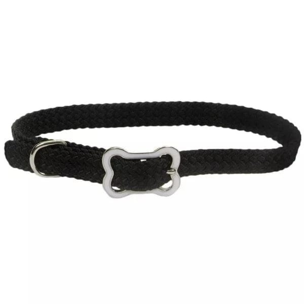 Stylish Coastal Bone - Buckled Sunburst Adjustable Dog Collar for Puppies