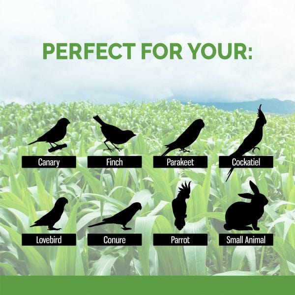 Sunseed All - Natural Absorbent Corn Cob Bedding for Small Pets and Birds