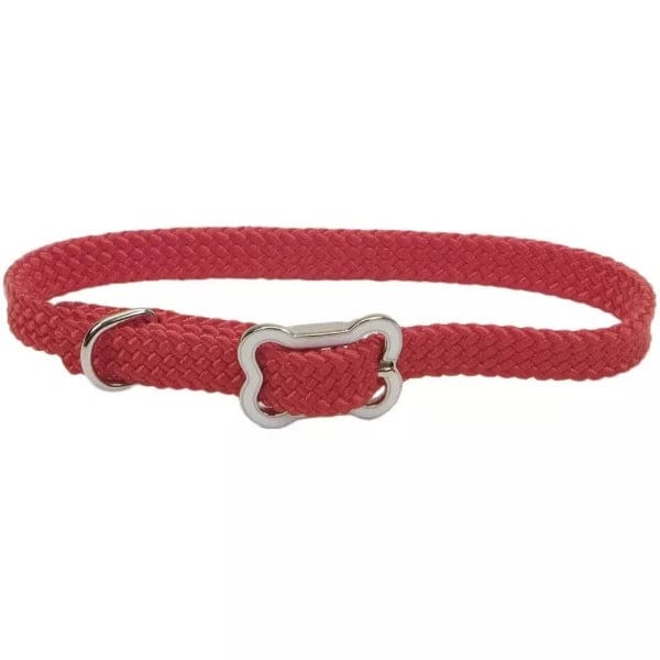 Stylish Coastal Bone - Buckled Sunburst Adjustable Dog Collar for Puppies