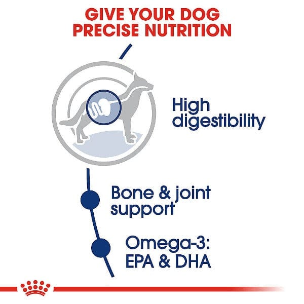 Royal Canin Premium Dry Dog Food for Large Adult Canines