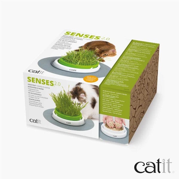 Catit Senses 2.0 Indoor Cat Grass Planter with Design Upgrades