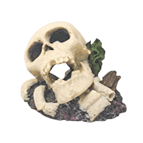 Fish Gear Safe Non - toxic Skull Ornament for Aquariums and Terrariums