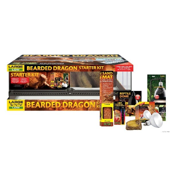 Exo Terra Premium Bearded Dragon Starter Kit with Ideal Housing Features