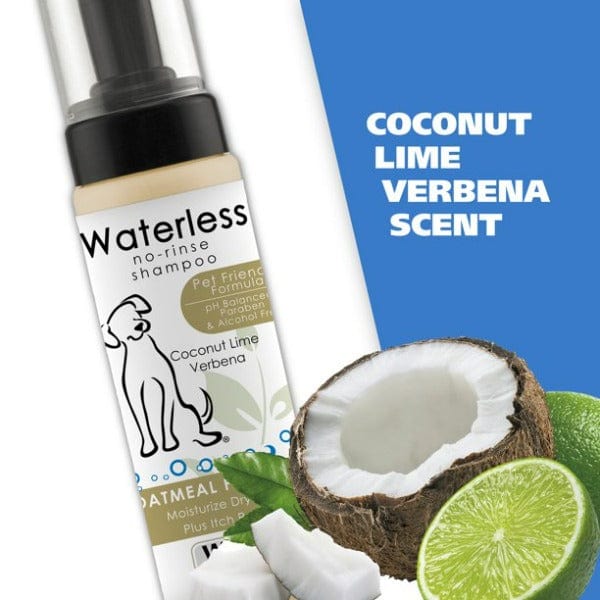 Wahl Coconut Lime Verbena Oatmeal Formula No - Rinse Shampoo for Canine Pets