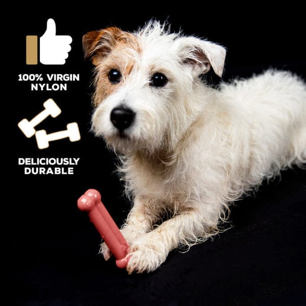 Delicious TastyBone Nylon Dog Chew Bone with Bacon Flavor