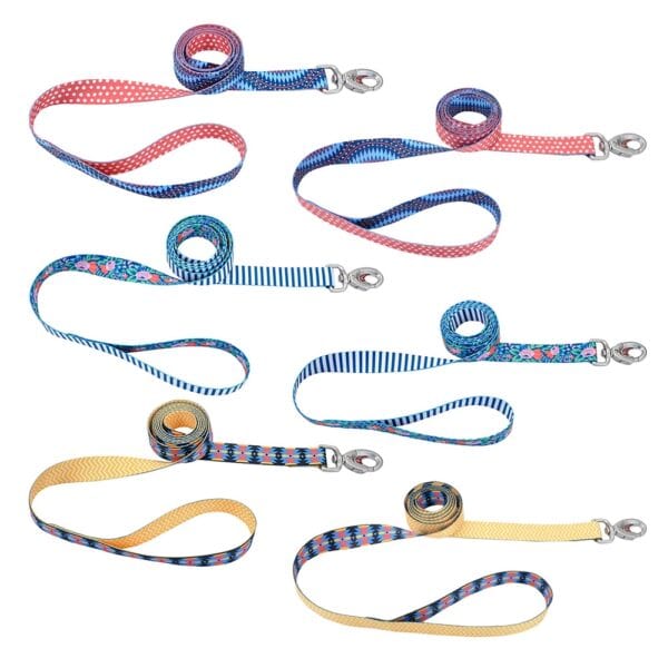 Stylish Two - Sided Sublime Dog Leash with Fashion - Forward Hardware