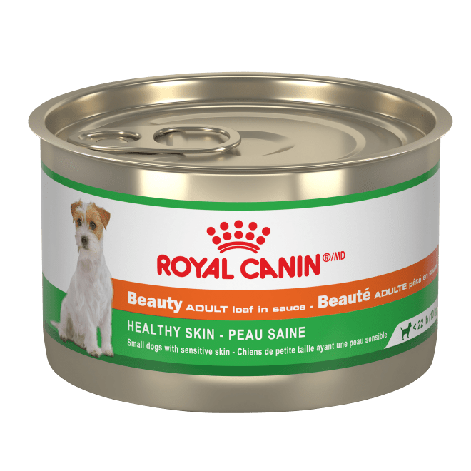 Royal Canin 150g Canned Adult Dog Food for Small Breeds - Skin & Coat Health