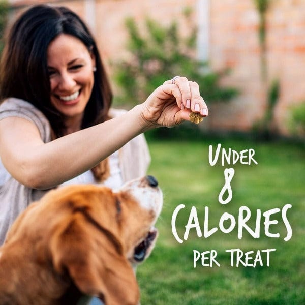 Fruitables Oven - Baked Pumpkin & Apple Low - Calorie Dog Treats